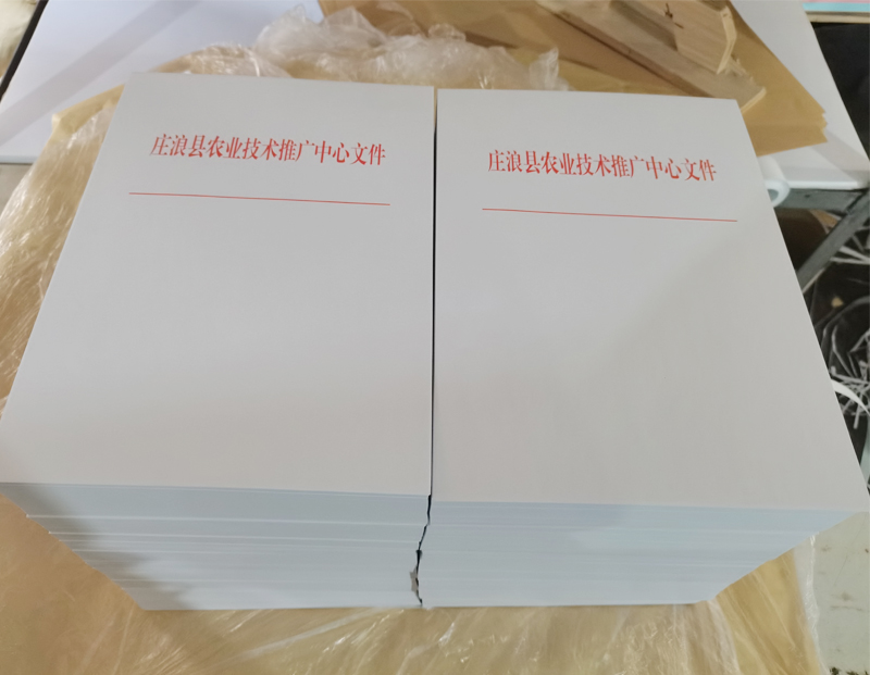 民和文头纸